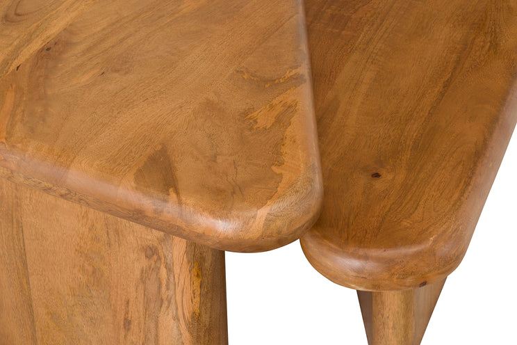 Sansa Coffee Table (Set of 2)